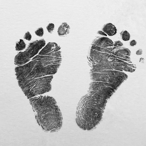 Fundraising Page: Amy Carroccia